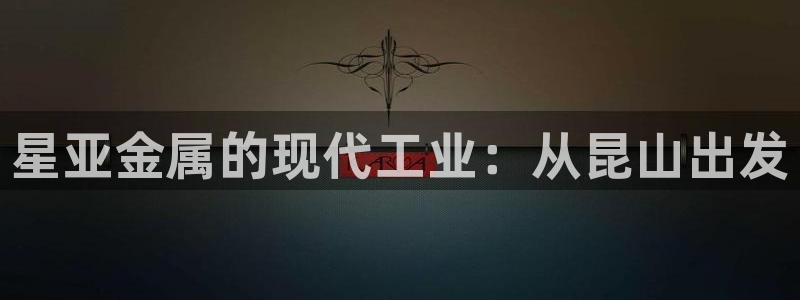 美高梅股票中国净资产多少