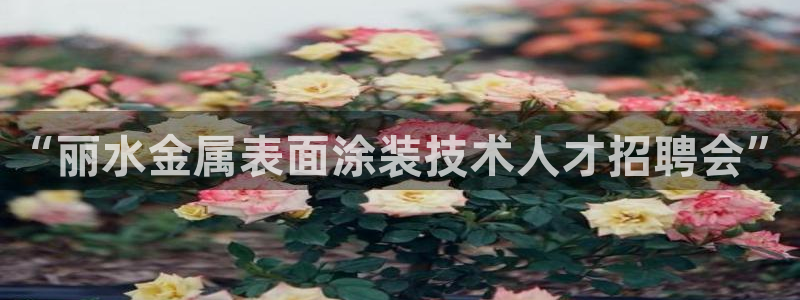 美狮美高梅酒店可以抽烟吗