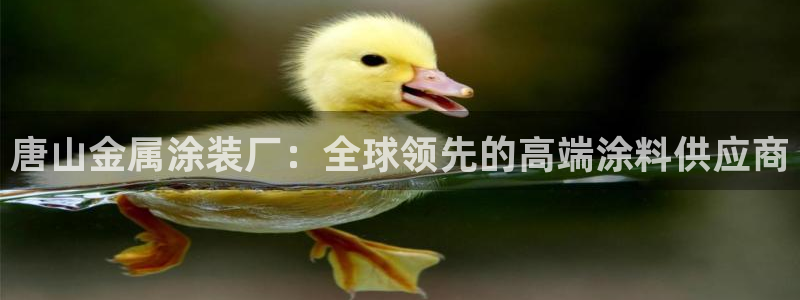 美高梅会员卡颜色区别