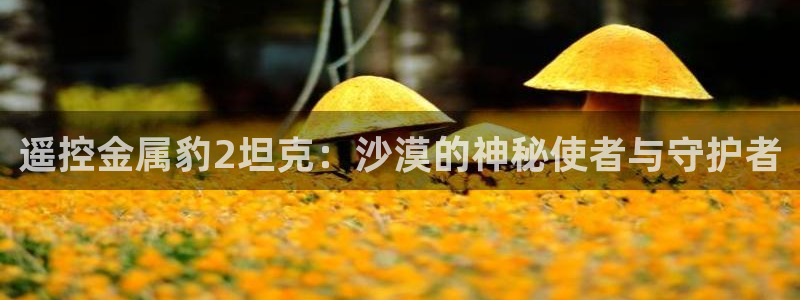 美高梅官网招聘