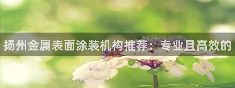 青岛美高梅属于什么档次