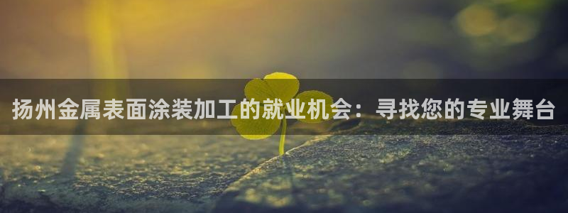 美高梅会员等级怎么升：扬州金属表面涂装加