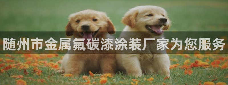 澳门有几家美高梅酒店