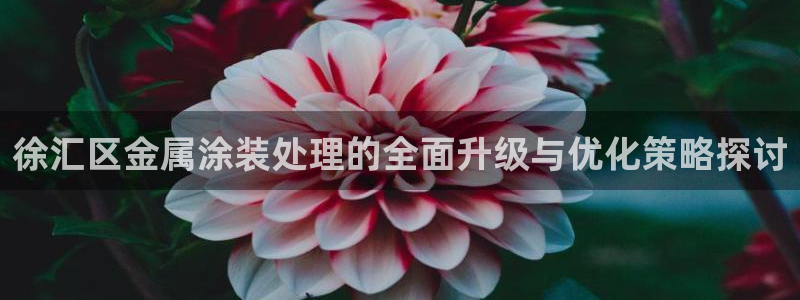美高梅是哪里的公司
