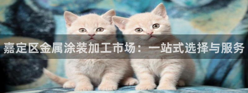 为什么我的美高梅网页上不了