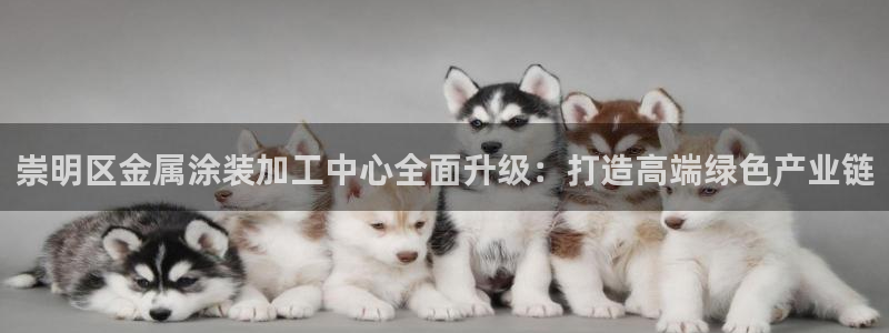 美高梅老板何超琼