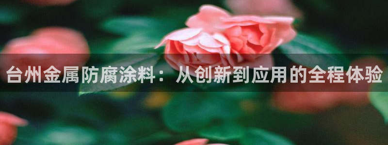 美高梅酒店和丽思卡尔顿哪个好
