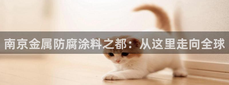 美高梅筹码图片高清