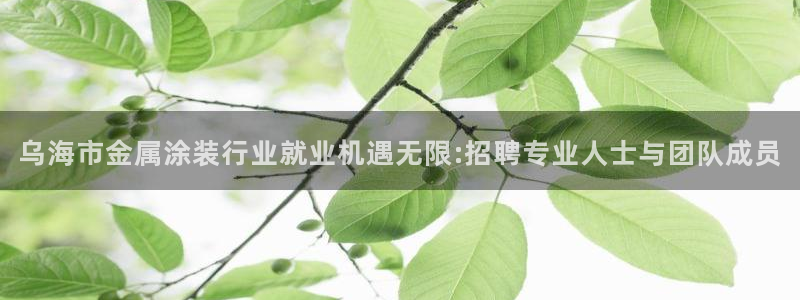 美高梅网上直营