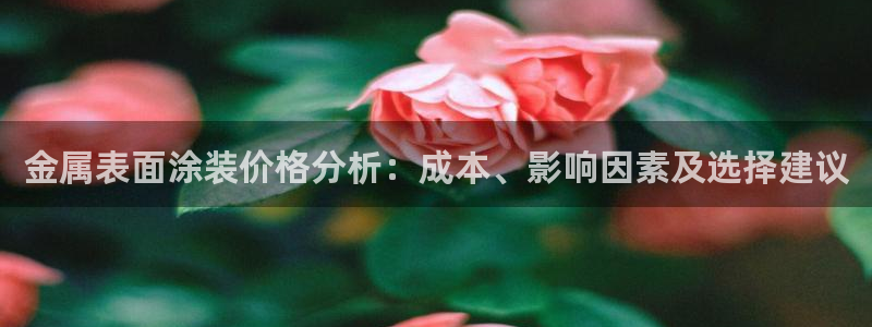美高梅空气炸锅怎么样