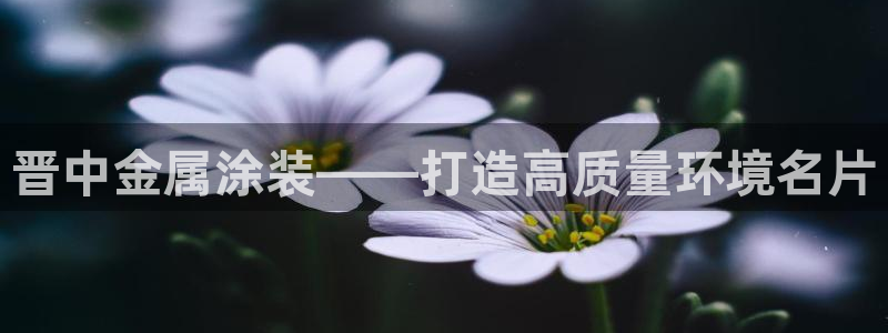 美狮美高梅酒店房间：晋中金属涂装——打造