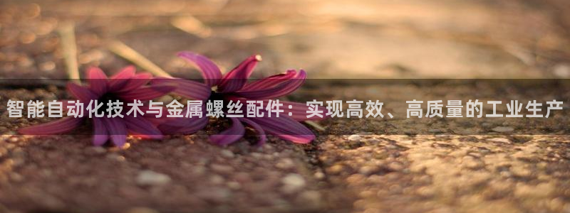 美高梅公司游戏注册网址是多少