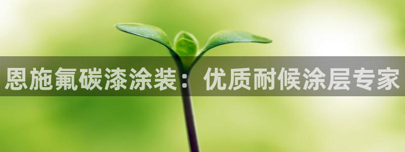 美高梅控股有限公司是国企吗