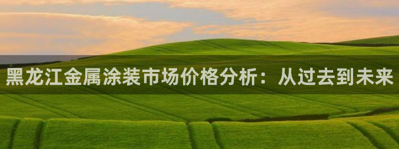 美高梅大酒店何超琼