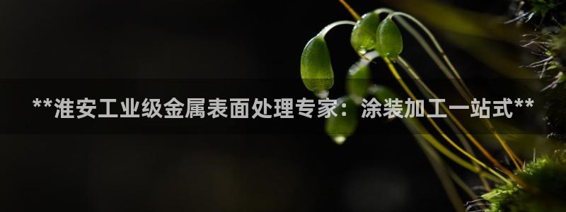 美高梅会员卡积分能在哪里使用