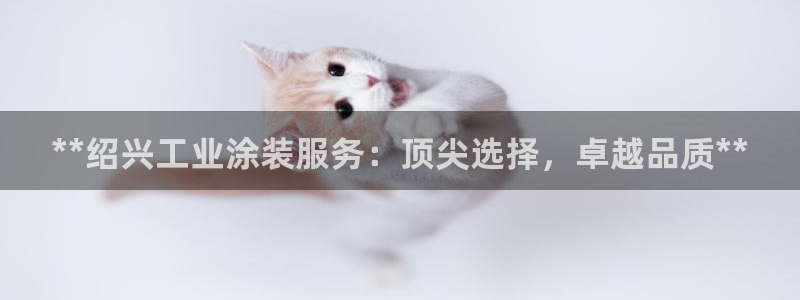 美高梅软件开发创始人