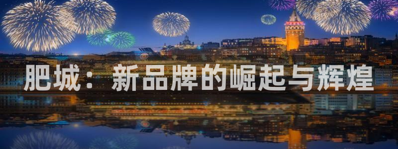 鲁能美高梅别墅物业费