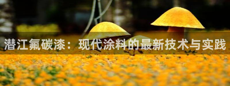 美高梅酒店bazaar