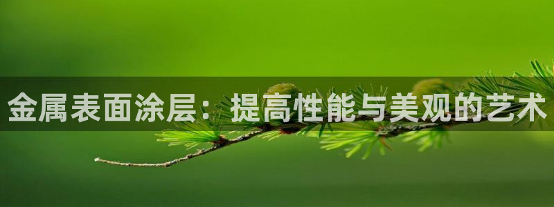 美高梅最大筹码