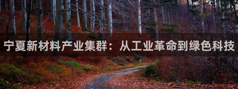 美高梅酒店会员卡