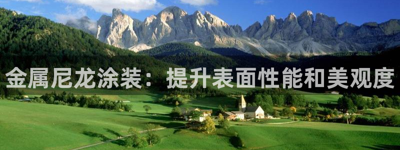 美高梅公司是做什么的