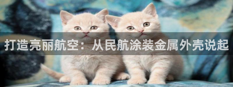 美高梅会员卡级别介绍