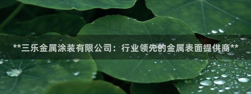 美狮美高梅酒店二楼是干嘛的