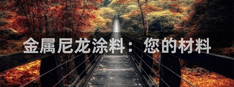 美狮美高梅酒店黑卡